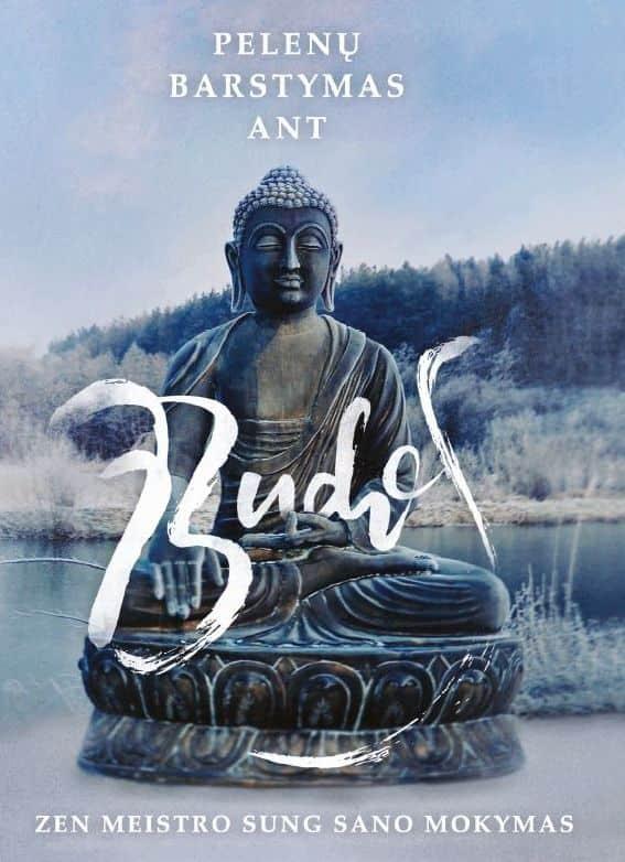Pelenų barstymas ant Budos. Zen meistro Sung Sano mokymas