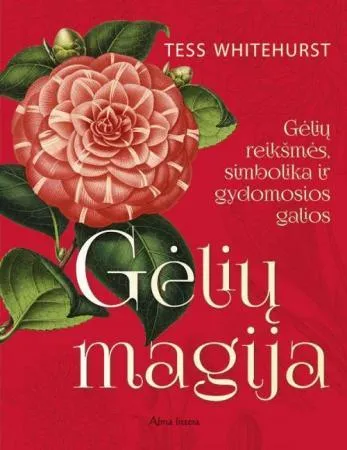 Gėlių magija. Gėlių reikšmės, simbolika ir gydomosios galios