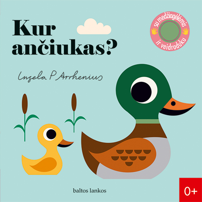 Kur ančiukas?