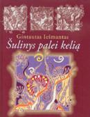 Šulinys palei kelią