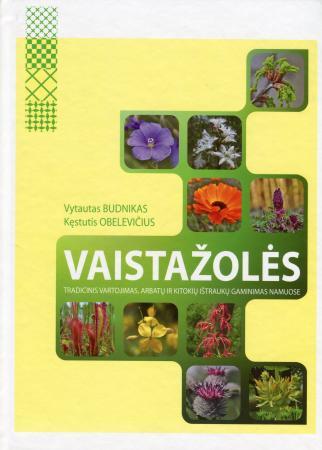 Vaistažolės. Tradicinis vartojimas, arbatų ir kitokių ištraukų gaminimas