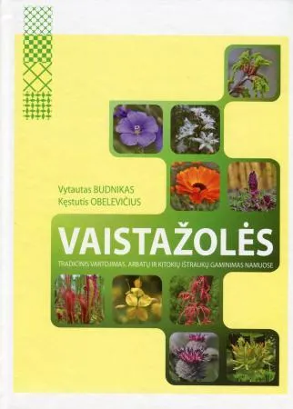Vaistažolės. Tradicinis vartojimas, arbatų ir kitokių ištraukų gaminimas