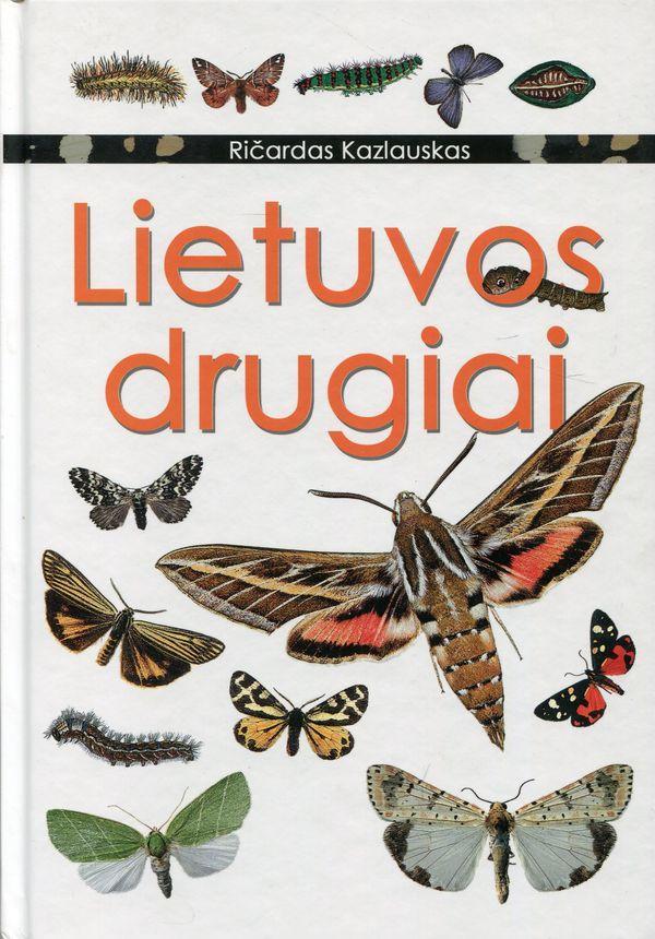 Lietuvos drugiai. Kai kurių drugių šeimų apžvalga