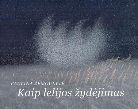 Kaip lelijos žydėjimas