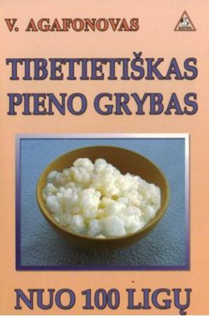 Tibetietiškas pieno grybas nuo 100 ligų