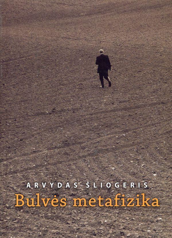 Bulvės metafizika