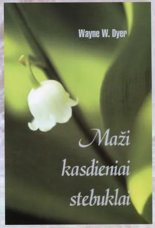 Maži kasdieniai stebuklai