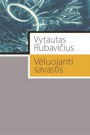 Vėluojanti savastis
