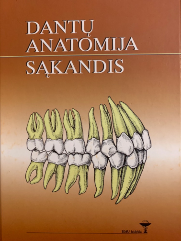 Dantų anatomija sąkandis