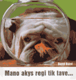 Mano akys regi tik tave...