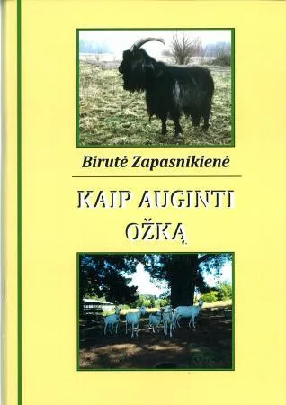 Kaip auginti ožką