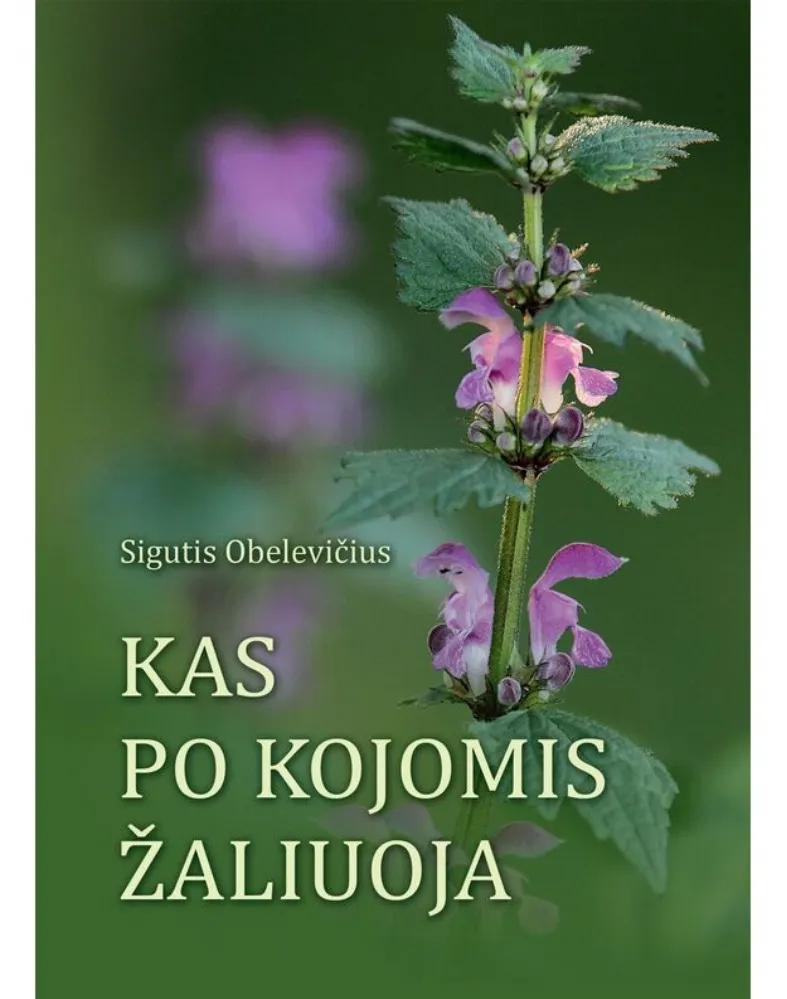 Kas po kojomis žaliuoja