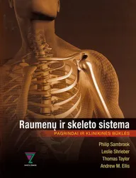 Raumenų ir skeleto sistema
