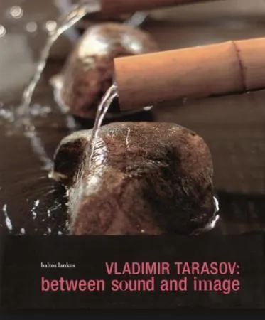 Vladimir Tarasov: between sound and image