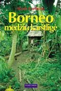 Borneo medžių karštligė
