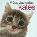 Mūsų žaviosios katės