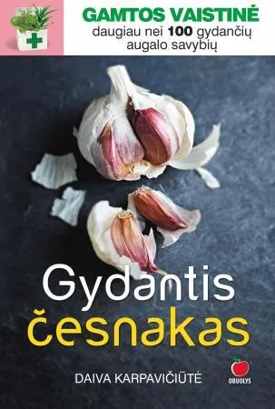 Gydantis česnakas