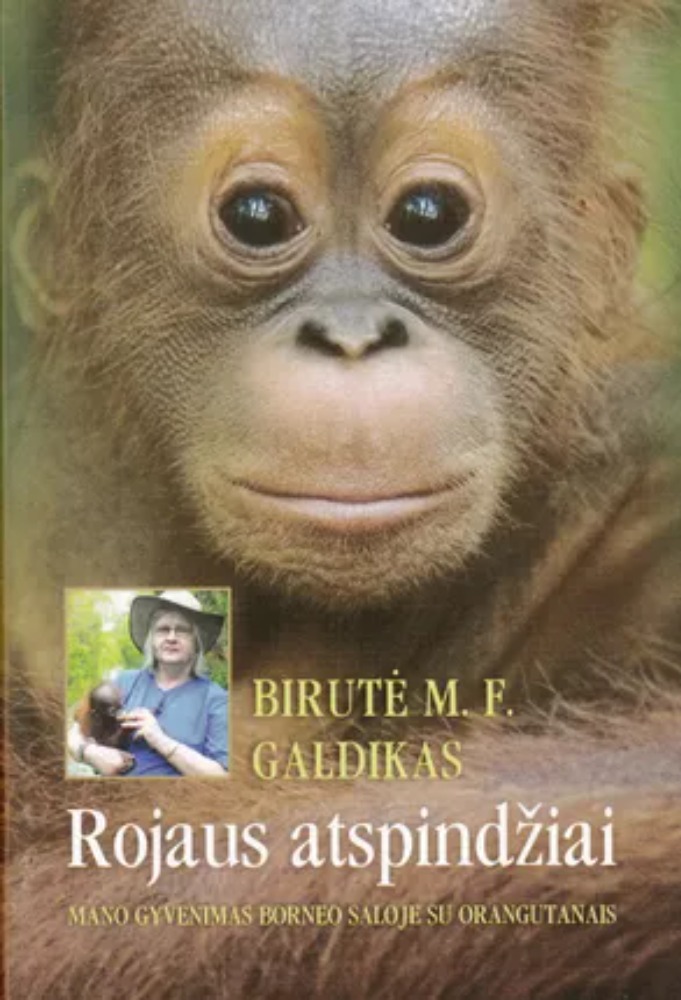 Rojaus atspindžiai