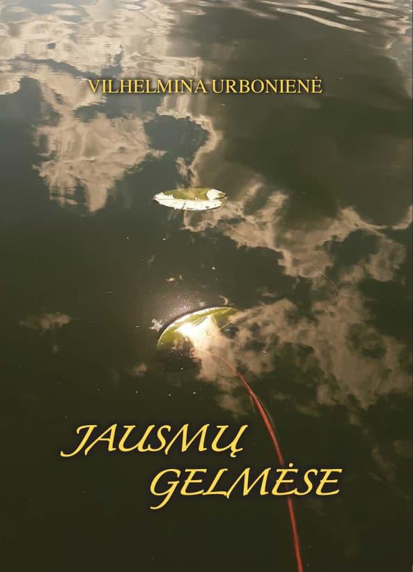 Jausmų gelmėse