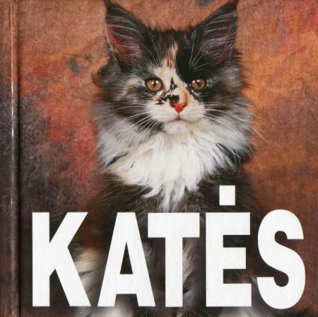 Katės