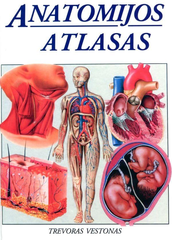 Anatomijos atlasas