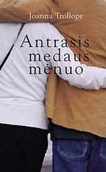 Antrasis medaus mėnuo