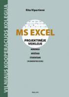 MS Excel projektinėje veikloje (su CD)