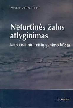 Neturtinės žalos atlyginimas kaip civilinių teisių gynimo būdas
