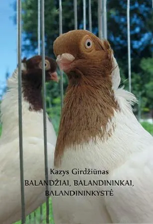 Balandžiai, balandininkai, balandininkystė