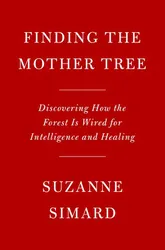 Finding the Mother Tree