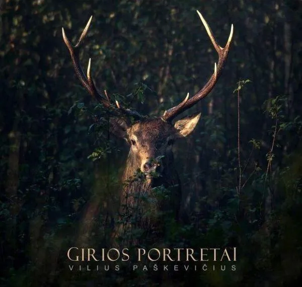 Girios portretai