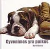 Gyvenimas yra puikus