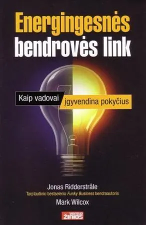 Energingesnės bendrovės link. Kaip vadovai įgyvendina pokyčius