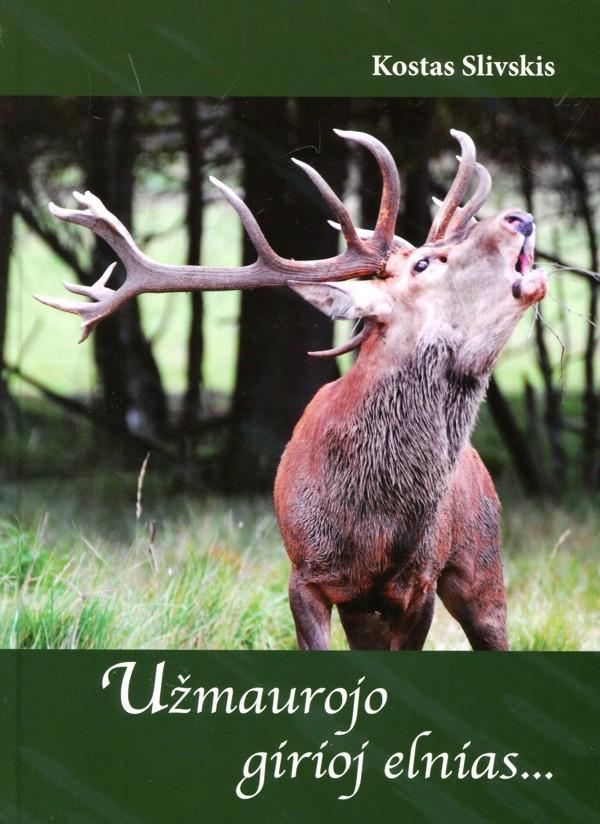 Užmaurojo girioj elnias...