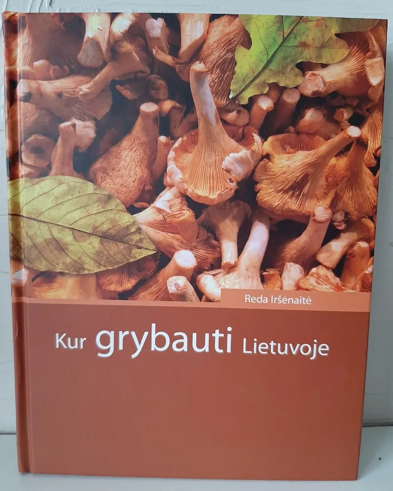 Kur grybauti Lietuvoje