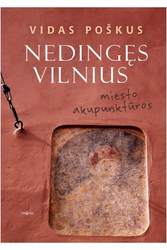 Nedingęs Vilnius