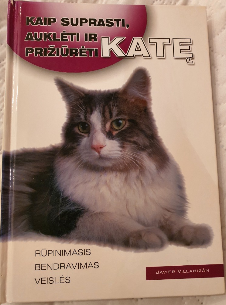 Kaip suprasti, auklėti ir prižiūrėti katę