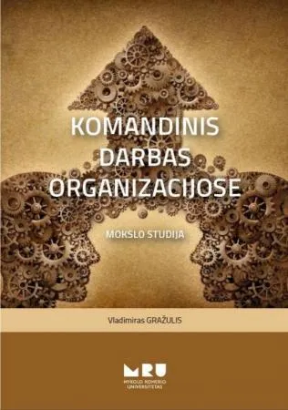 Komandinis darbas organizacijose