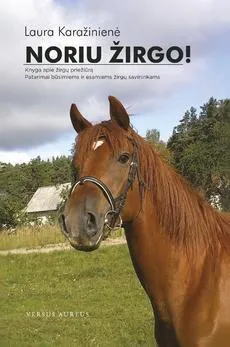 Noriu žirgo