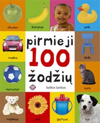 Pirmieji 100 žodžių