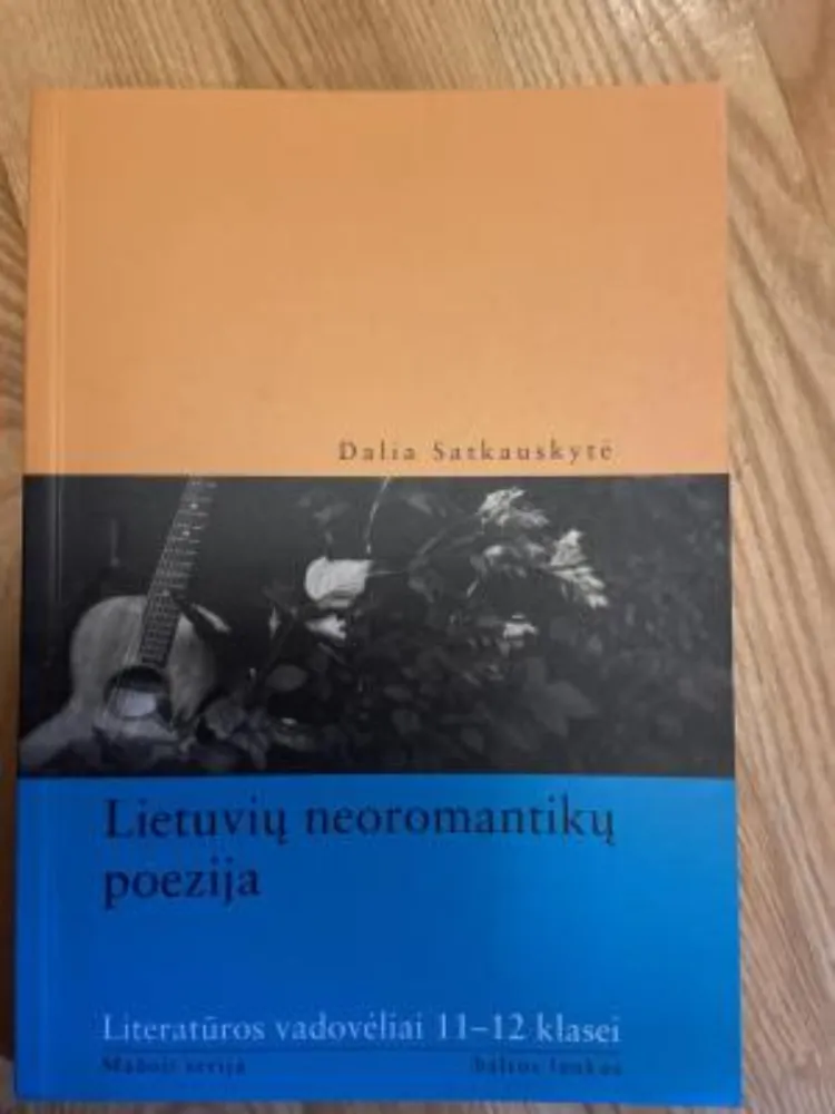 Lietuvių neoromantikų poezija