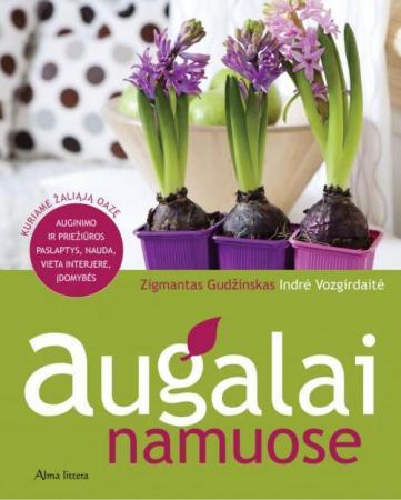 Augalai namuose: auginimo ir priežiūros paslaptys, nauda, vieta interjere
