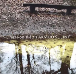 Akmuo šuliny