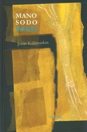 Mano sodo vagis