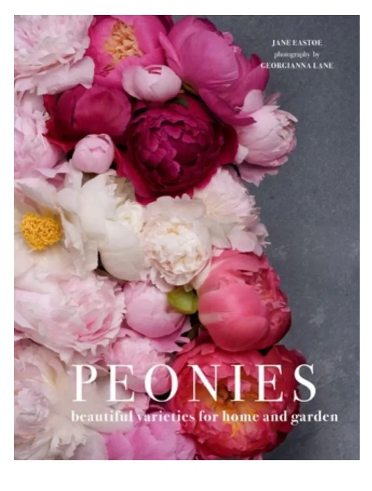 Peonies