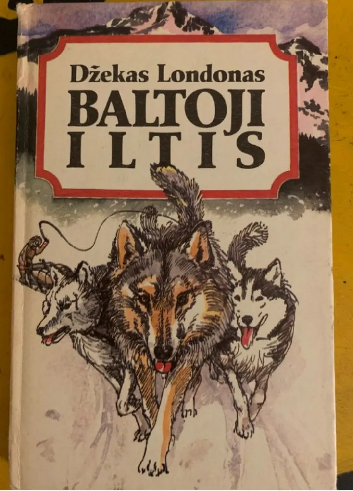 Baltoji iltis