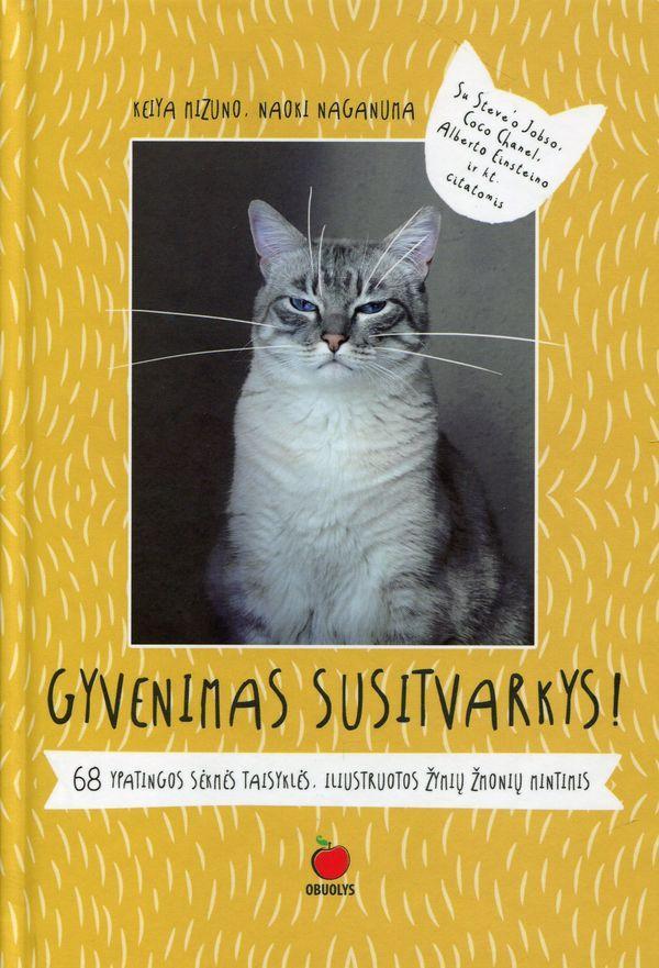 Gyvenimas susitvarkys