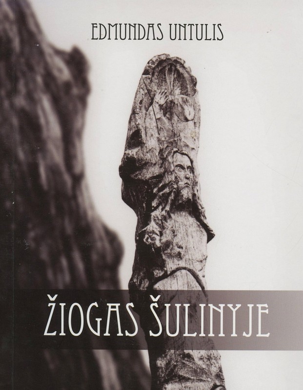 Žiogas šulinyje