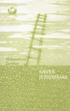 Savęs ieškojimas