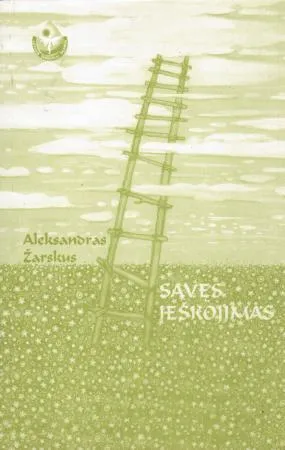 Savęs ieškojimas